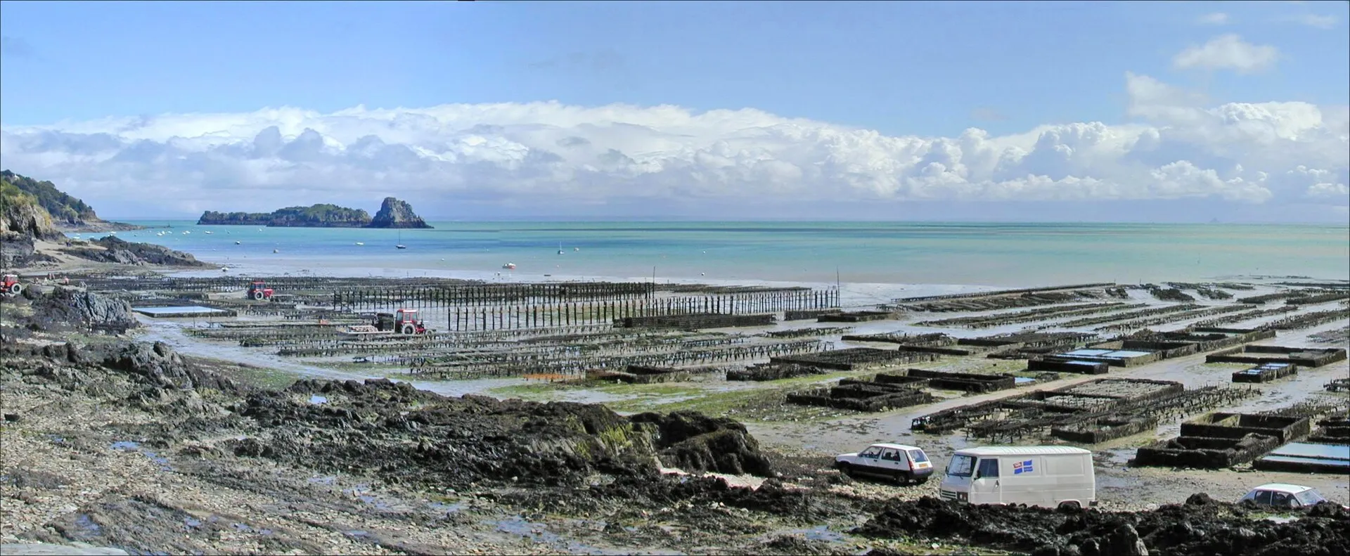 Les parcs à huîtres de Cancale à marée basse, le Mont-Saint-Michel à l'horizon