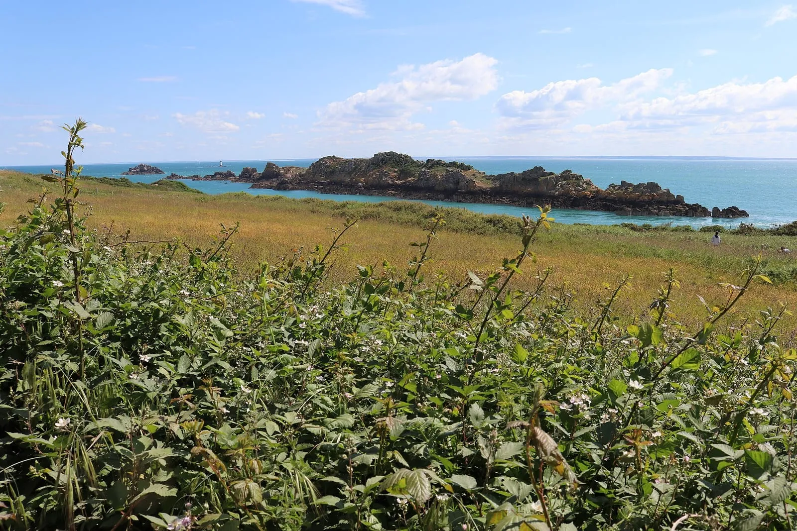 Landes et falaises de la pointe du Grouin