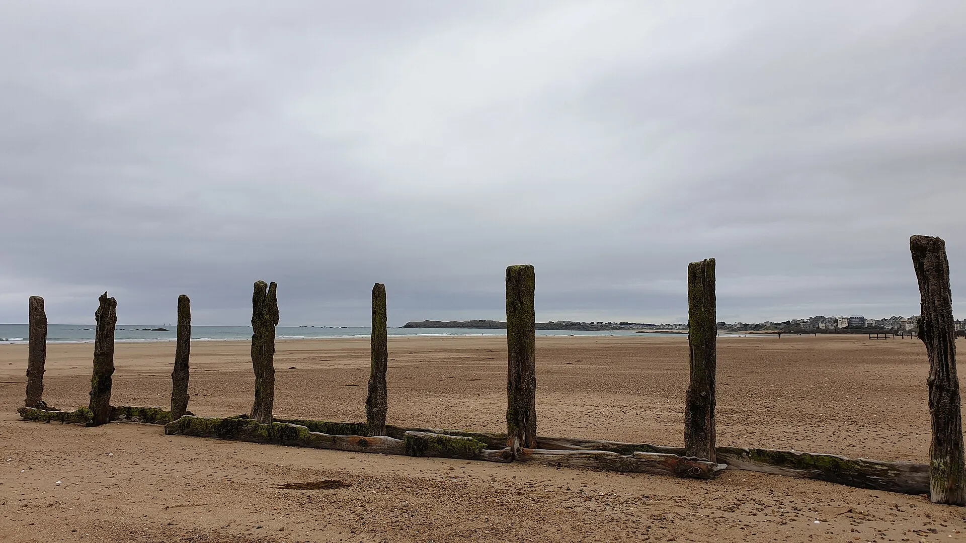 Les brise-lames en chêne de la plage du Sillon à marée basse